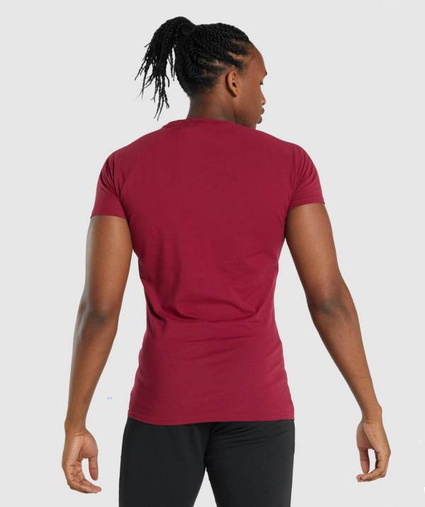 Panske Tricka Gymshark Critical 2.0 Bordove | ZY7659421